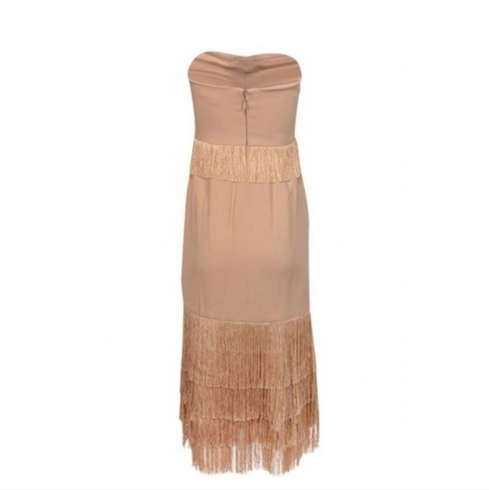Jonathan Simkhai Nude fringe strapless dress - Picture 4 of 16